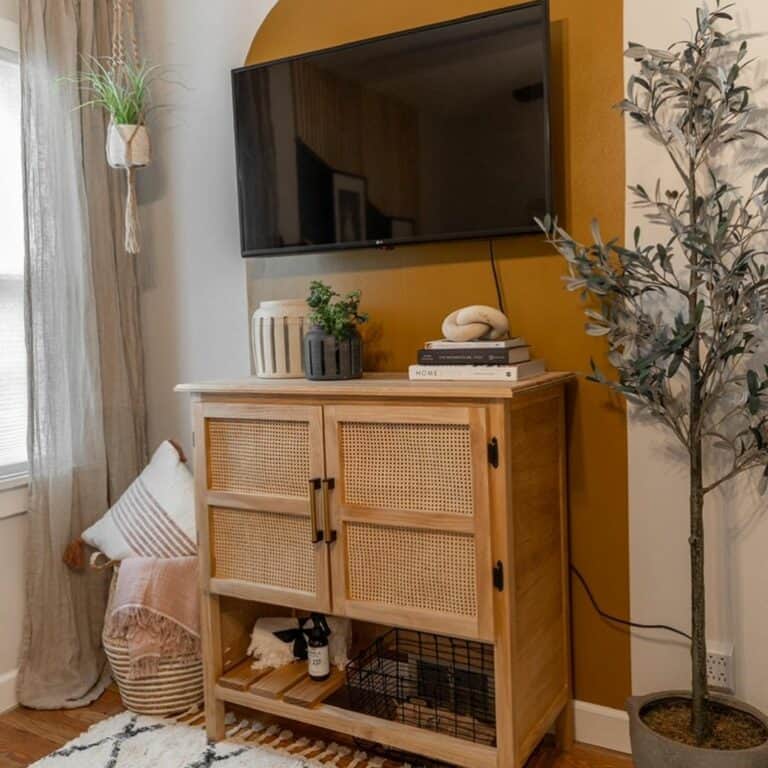 Bedroom Entertainment Area Highlighted With Color