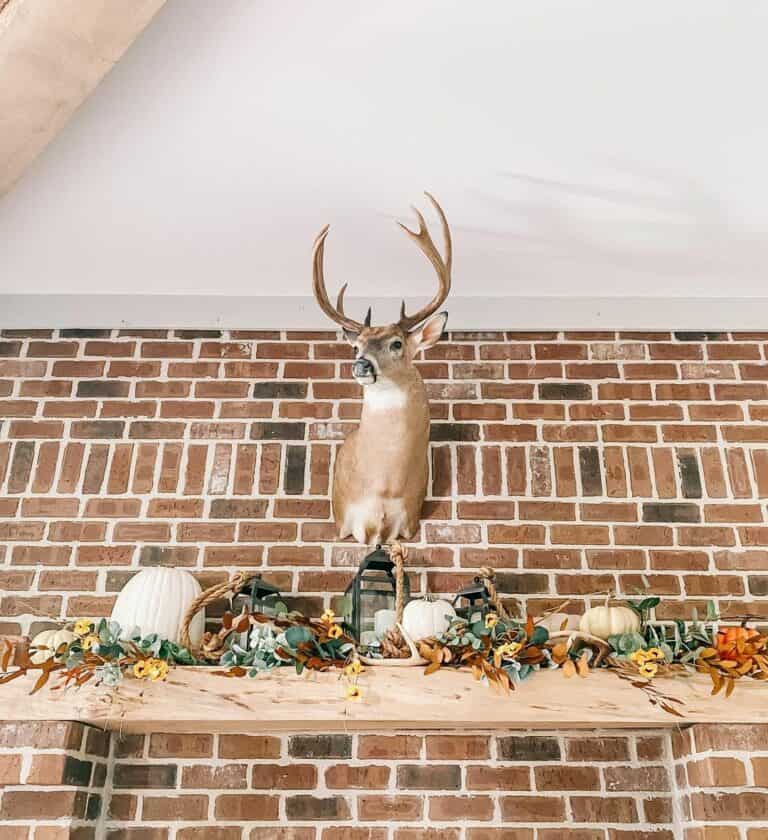 Brick Backdrop With Nature-themed Display