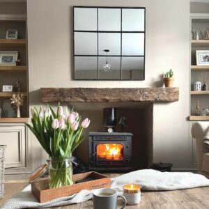 Contemporary Wood-burning Stove