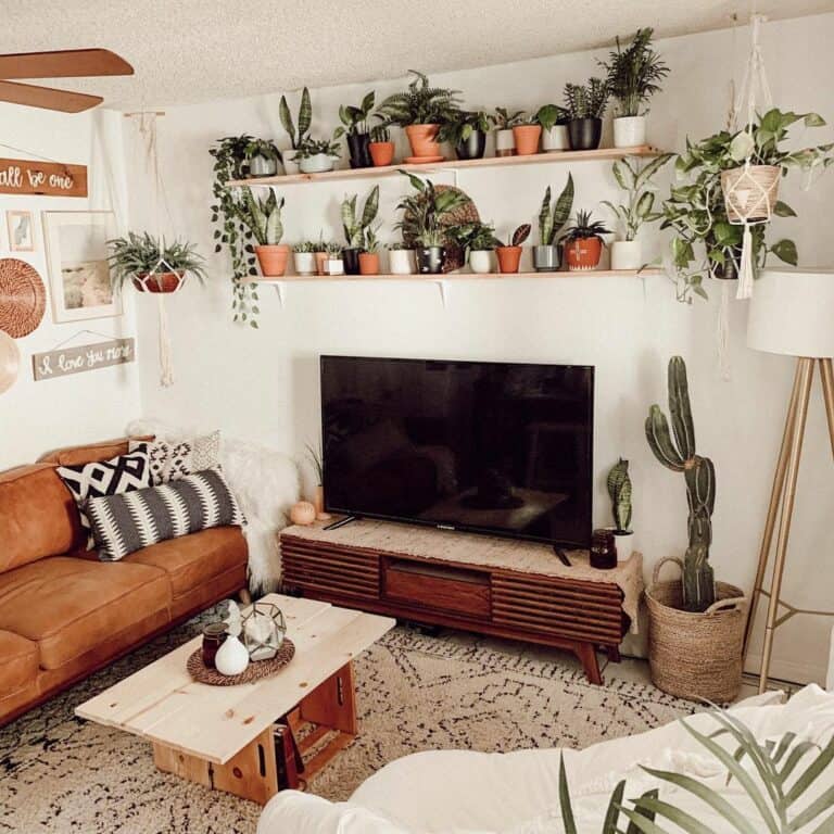House Plants as Lively Decorations