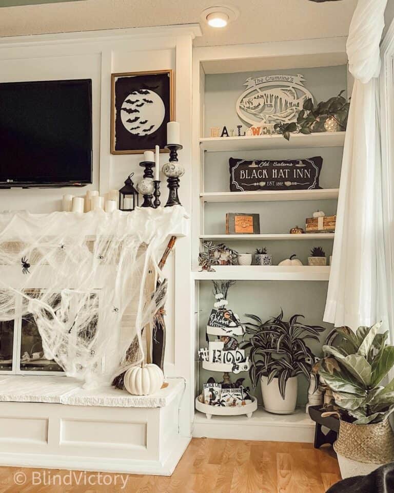 Witchy Black and White Built-ins