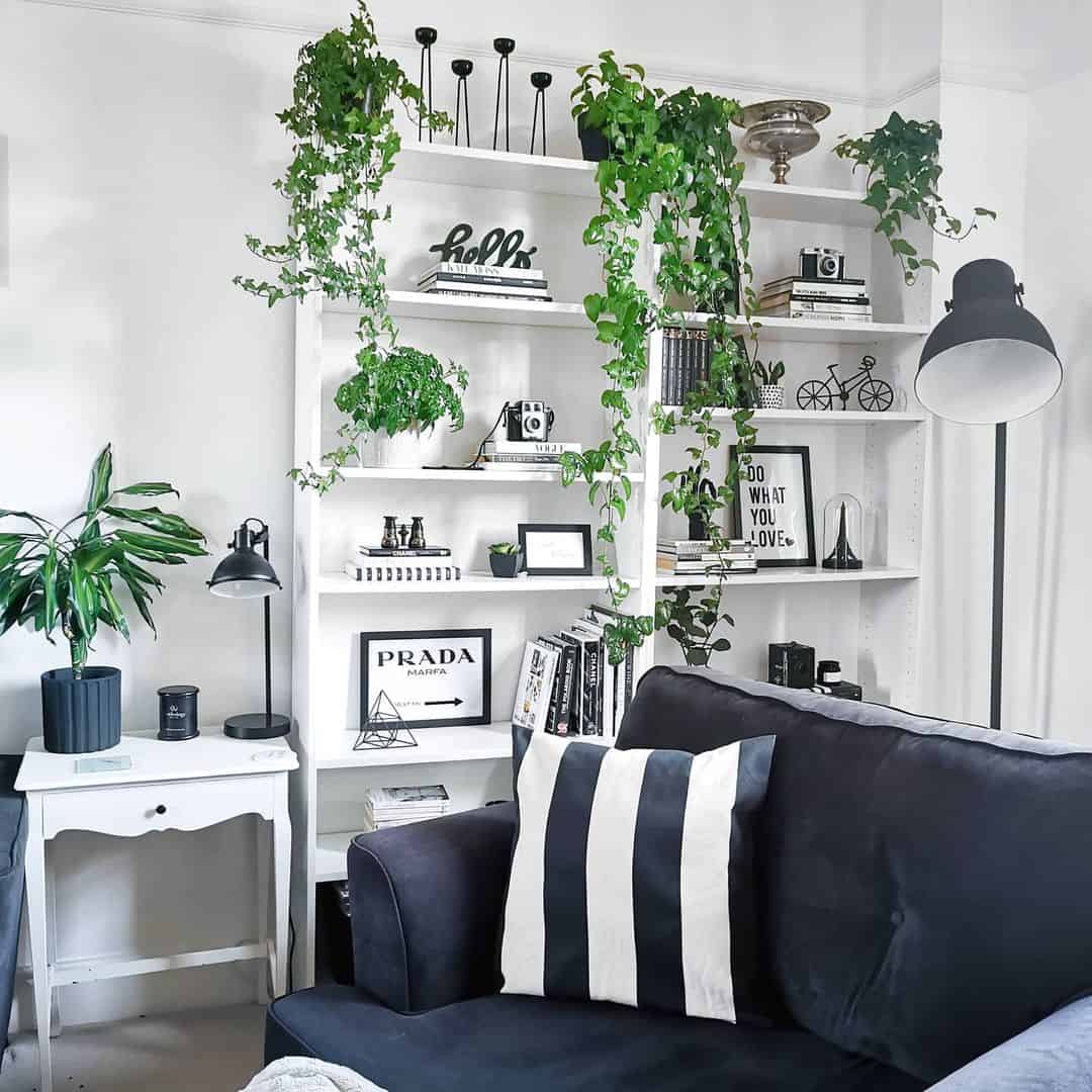 Lush Green Plants Elevate White Decor - Soul & Lane