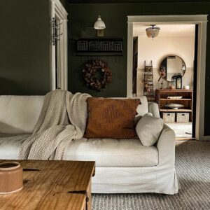 Moody Living Room Showcases Fall Colors