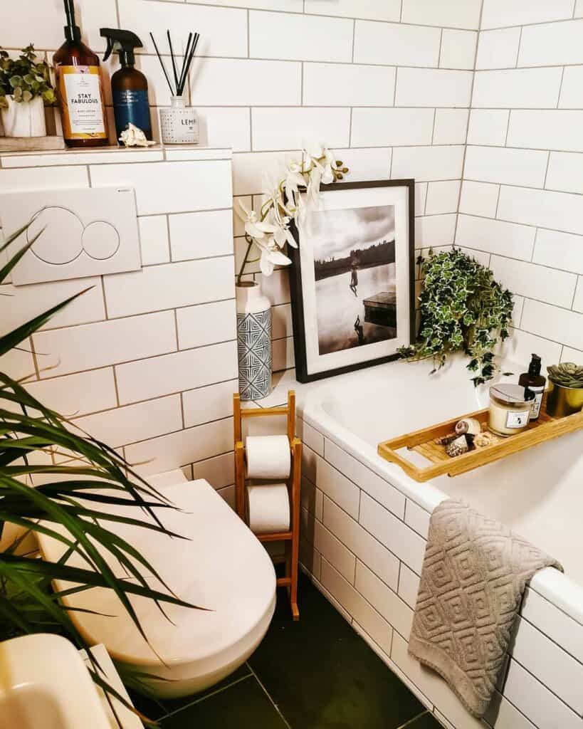 Petite Apartment and Bathroom Styling