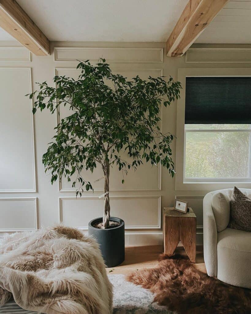 Softened Living Room With Organic Accents