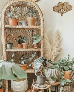 Plant Lover's Corner Display